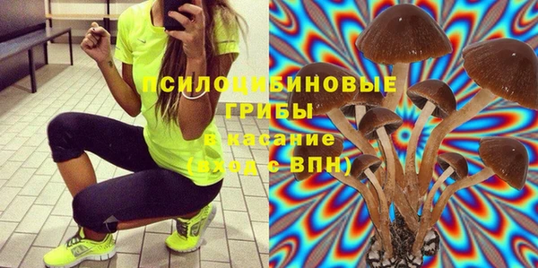 ECSTASY Нефтекумск