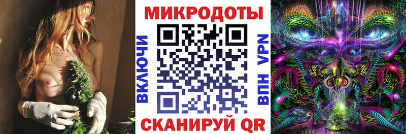 Псилоцибиновые грибы Cubensis  Ясногорск 