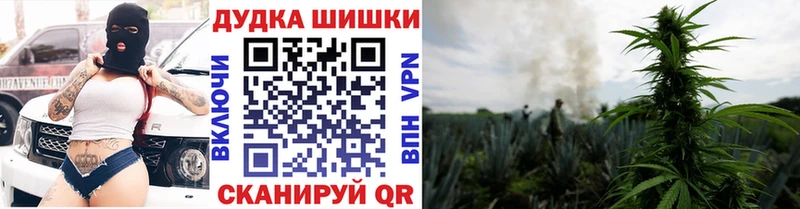 MEGA онион Ясногорск Бошки марихуана THC 21%